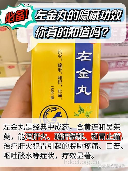 藿香左金丸的组成及作用