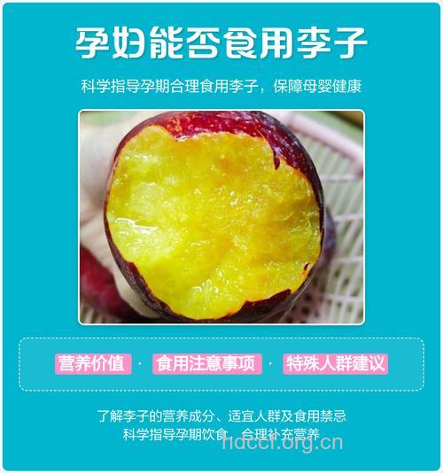 孕妇吃什么|孕妇能吃李子吗