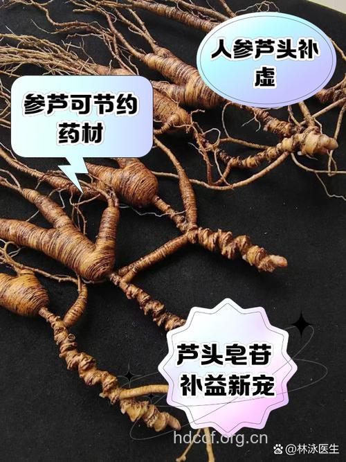 参芦饮的组成及作用