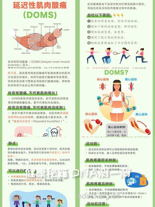 运动后为什么出现肌肉酸痛