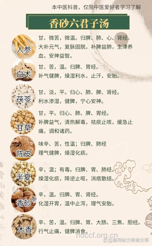 六君子汤的组成及作用