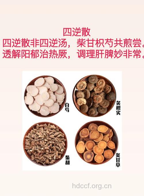 四逆散的组成及作用