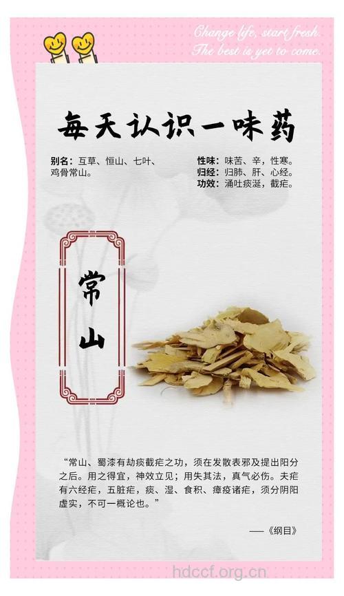 截疟常山饮的组成及作用