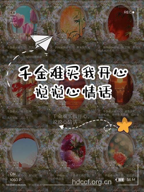千金难买心情好