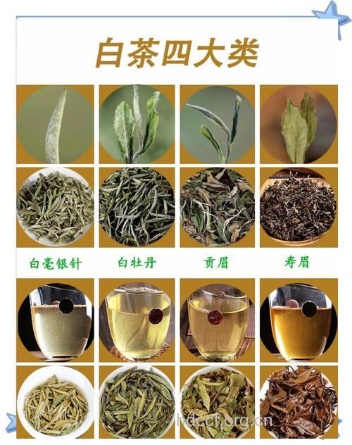 最适合白领喝的9种茶