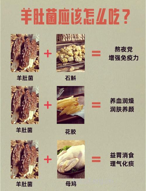 坐月子吃什么|坐月子可以吃羊肚菌吗