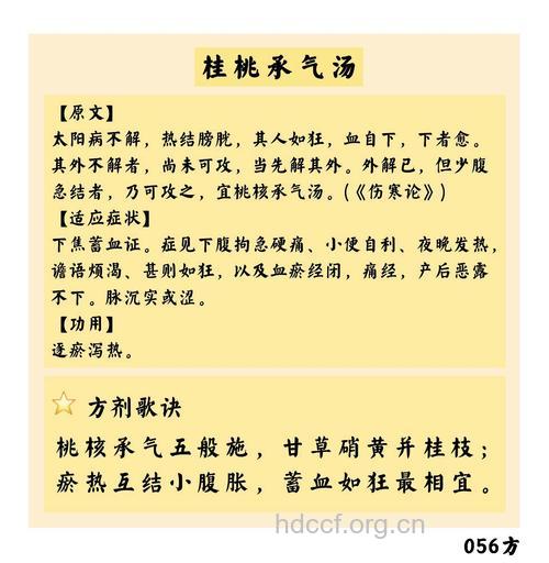 桃核承气汤的组成及作用