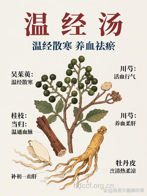 温经汤的组成及作用