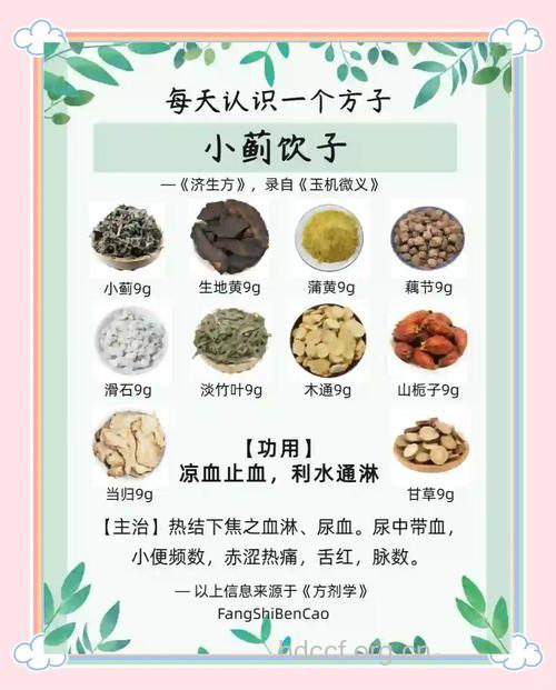 小蓟饮子的组成及作用