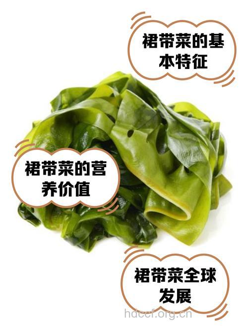 坐月子吃什么|坐月子可以吃裙带菜吗