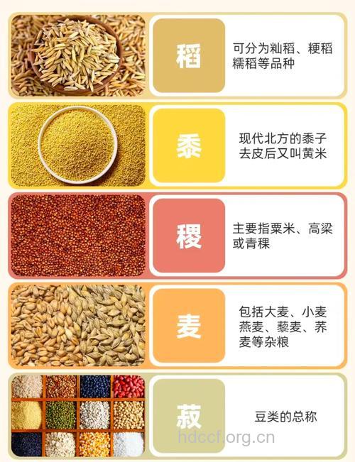 你知道什么是五谷吗