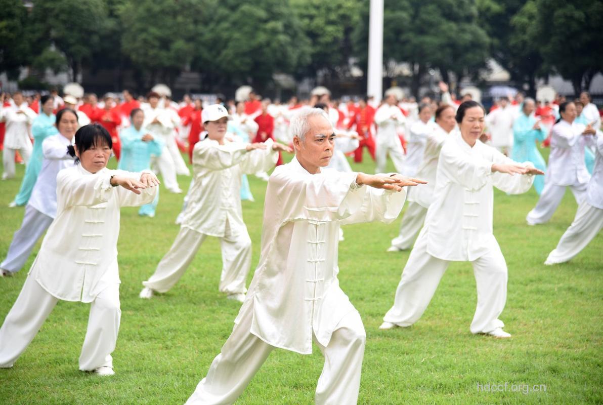 老年人练太极拳运动健身