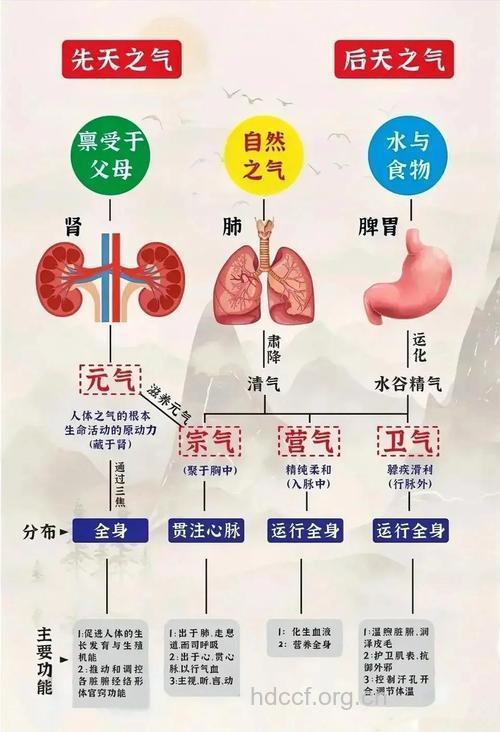 气功与中医有什么关系