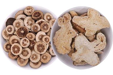 家传加味枳术丸的组成及作用