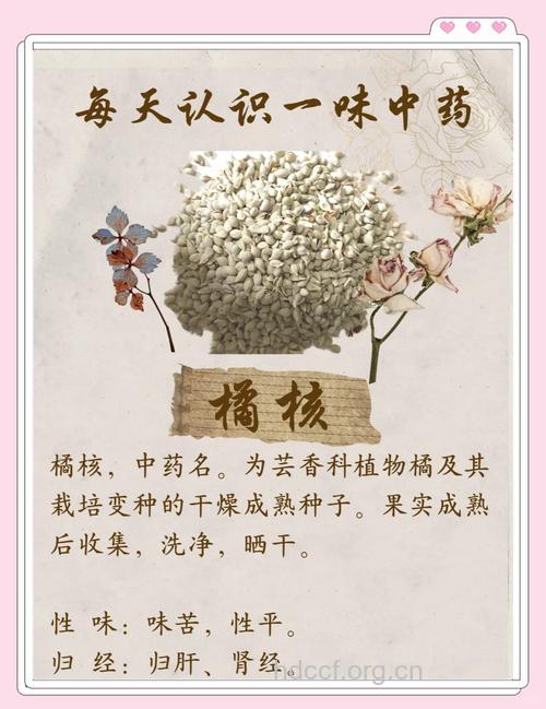 橘核丸的组成及作用