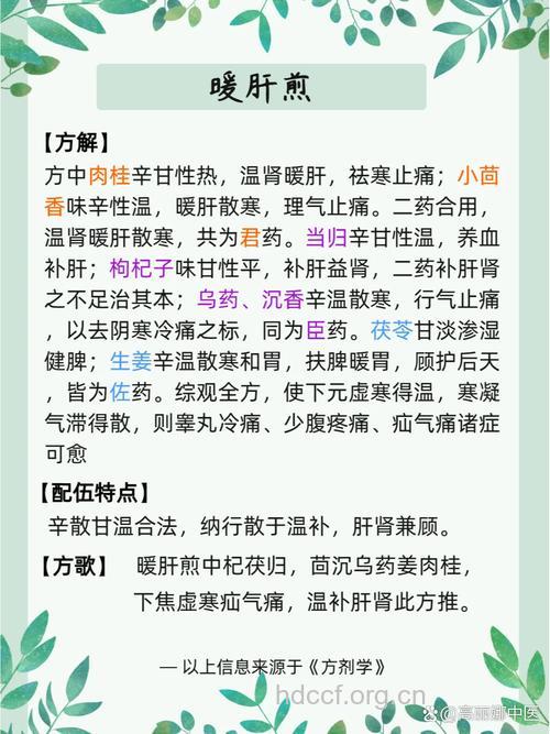 暖肝煎的组成及作用