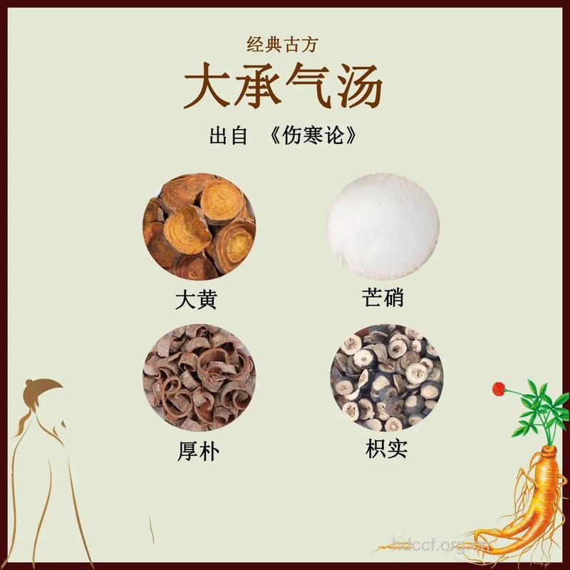 导赤承气汤的组成及作用