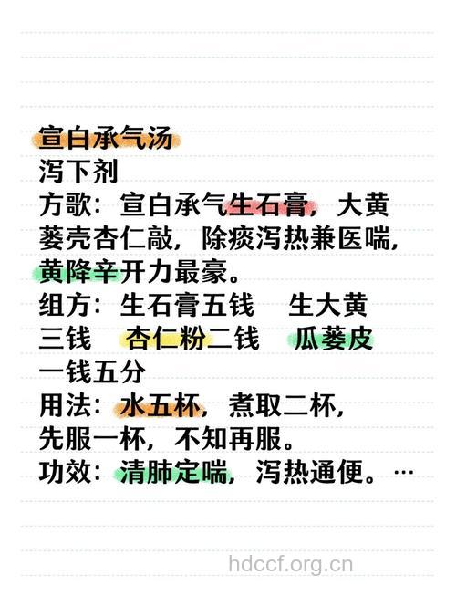 宣白承气汤的组成及作用