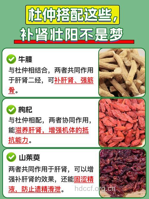 为何中年男人更加需要补药呢?