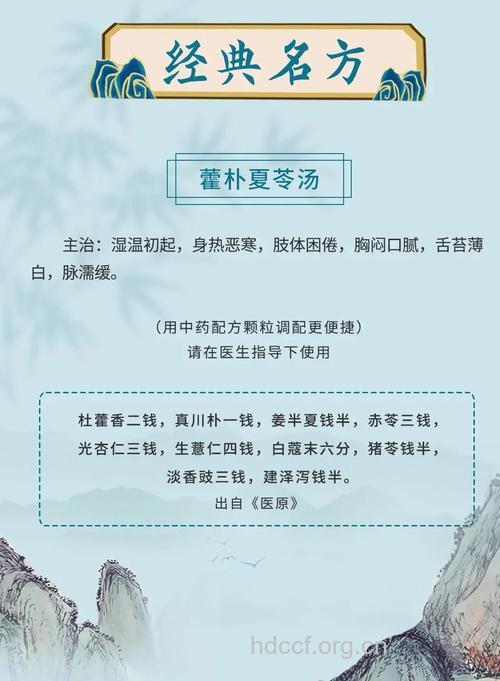 藿朴夏苓汤的组成及作用