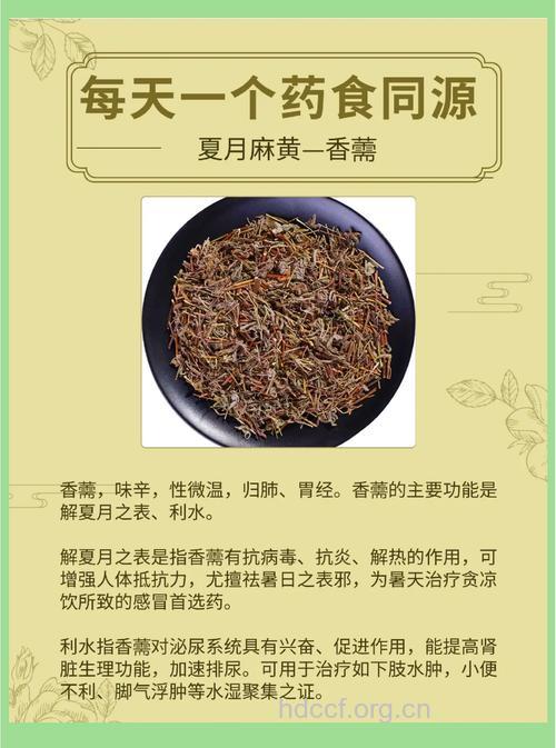 香薷饮的组成及作用