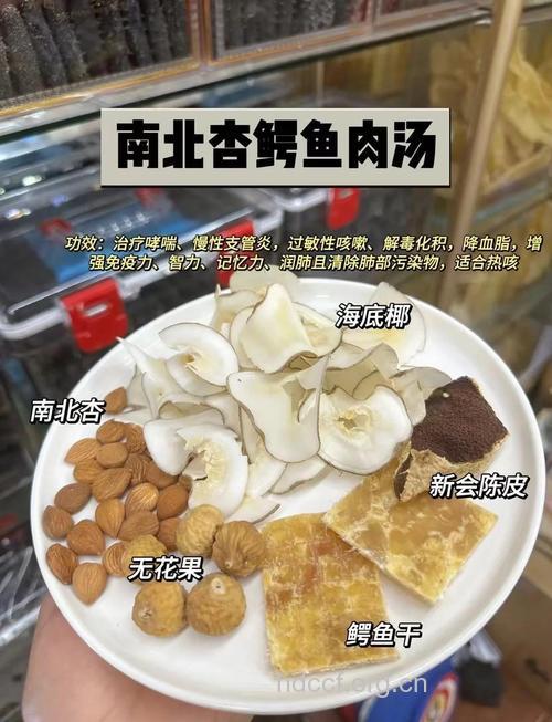薷杏汤的组成及作用