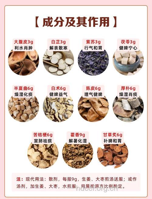 藿香正气散的组成及作用