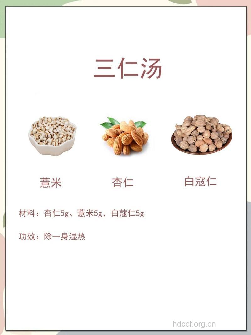 三仁汤的组成及作用