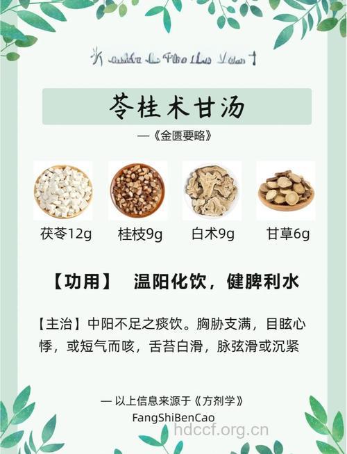 苓桂术甘汤的组成及作用