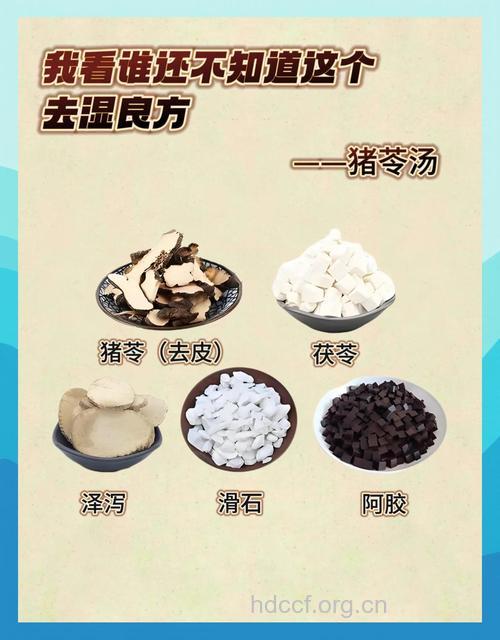猪苓汤的组成及作用