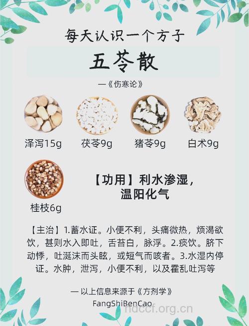 五苓散的组成及作用