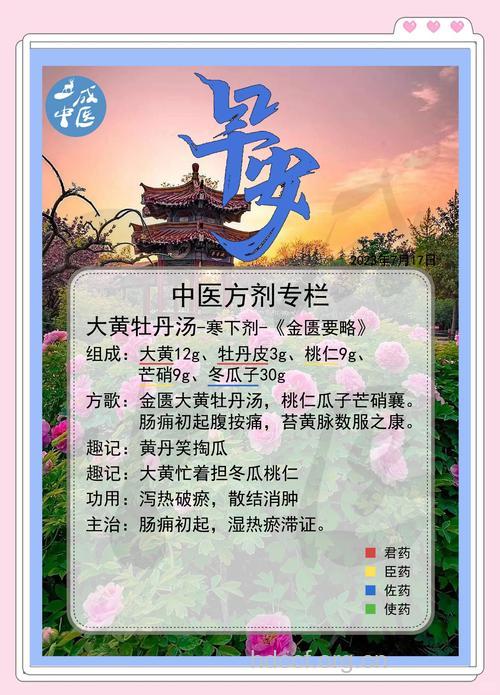 大黄牡丹汤的组成及作用