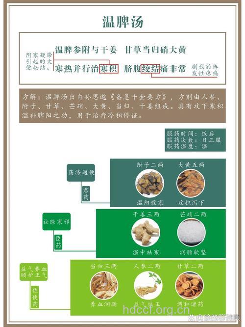 温脾汤的组成及作用