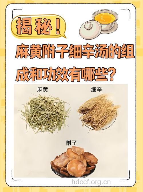 细辛汤的组成及作用
