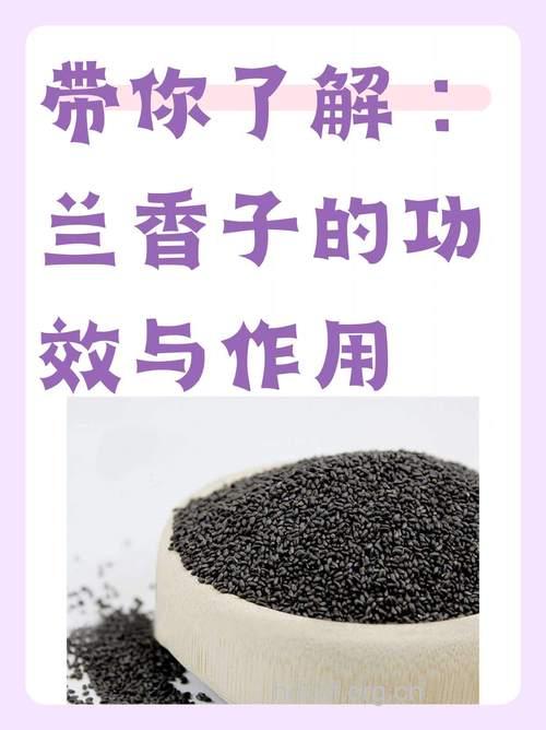 坐月子吃什么|坐月子可以吃兰香子吗