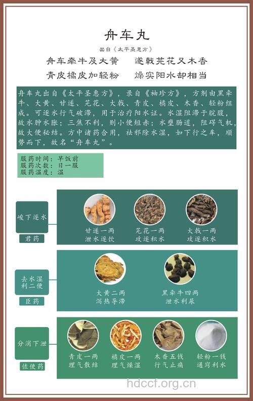 舟车丸的组成及作用