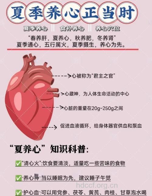 夏季保护心脏的好方法