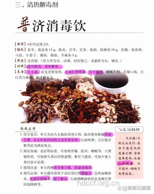 普济消毒饮的组成及作用