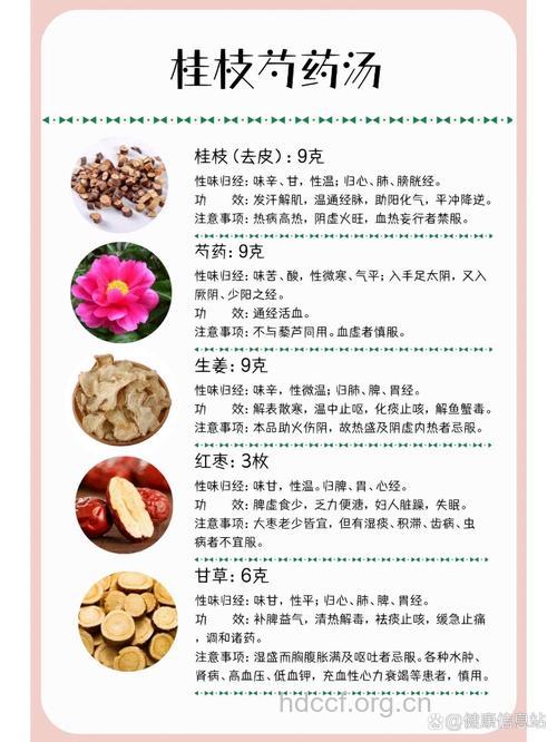 芍药汤的组成及作用