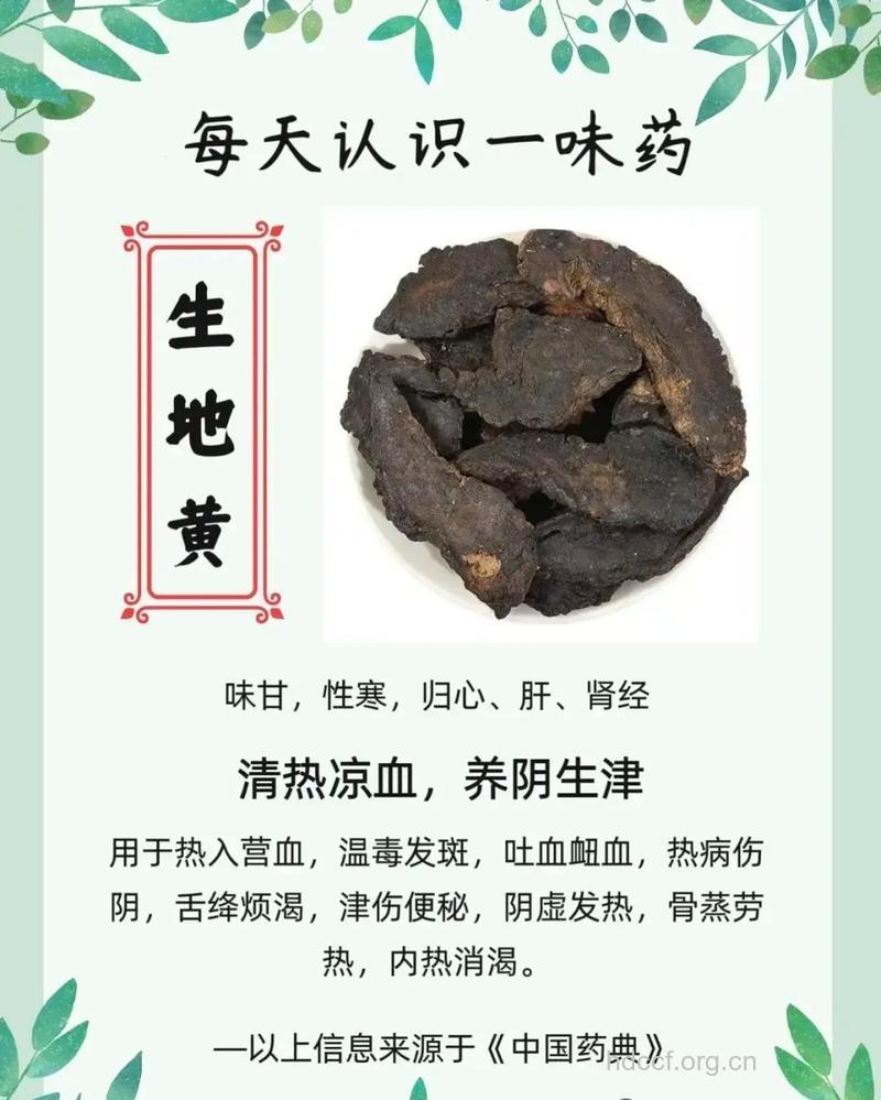 犀角地黄汤的组成及作用