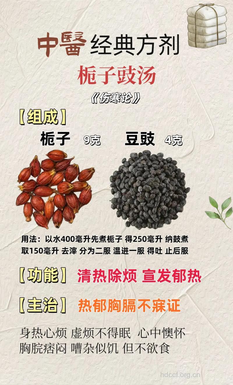 栀子豉汤的组成及作用