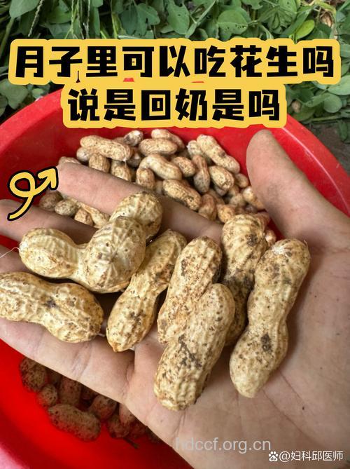 坐月子吃什么|坐月子可以吃花生吗