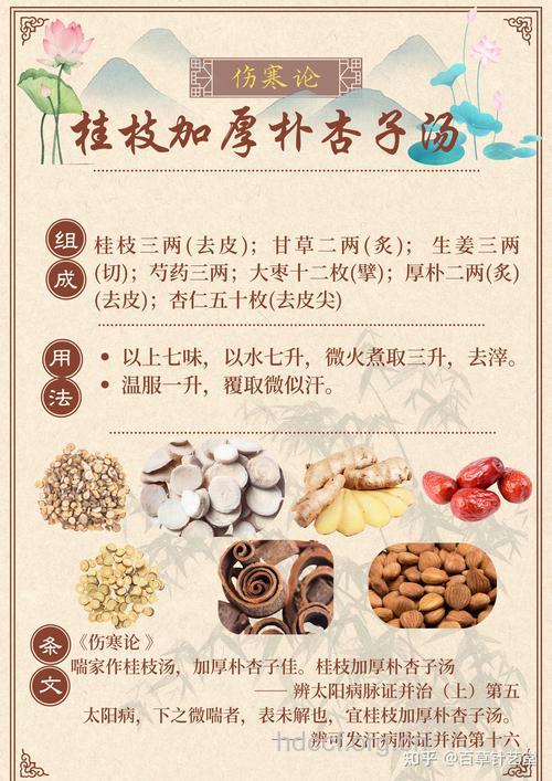 中药桂枝汤有什么功效