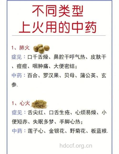 怎么分型选择上火中药