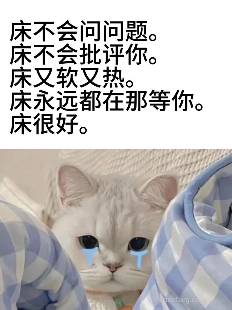 床上不要说这些话
