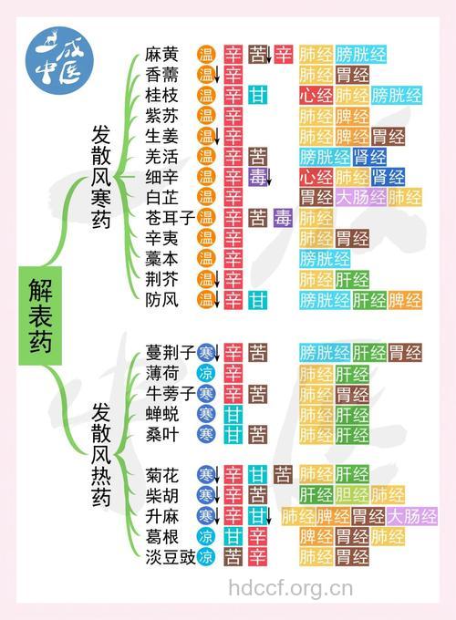 加减葳蕤汤的组成及作用