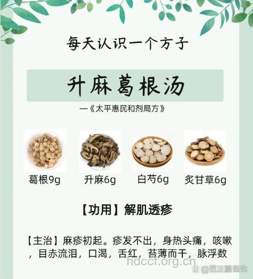 升麻葛根汤的组成及作用