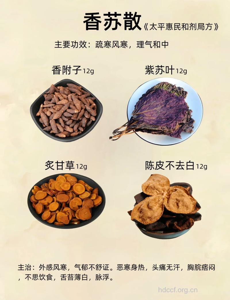 香苏散的组成及作用