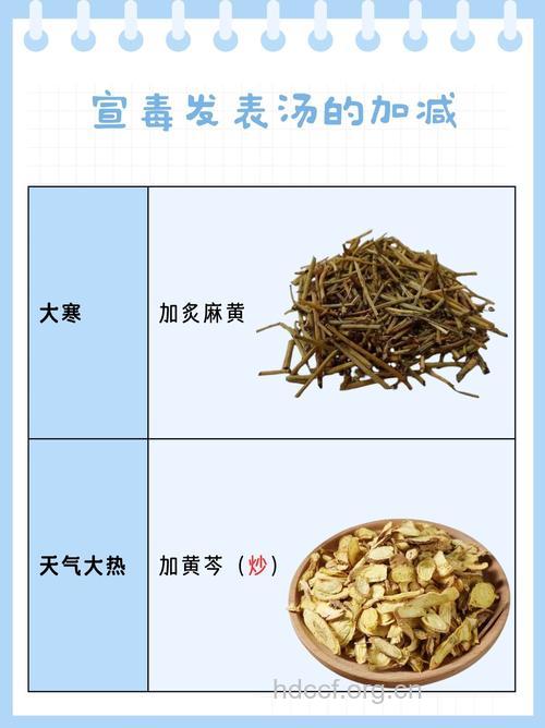 宣毒发表汤的组成及作用