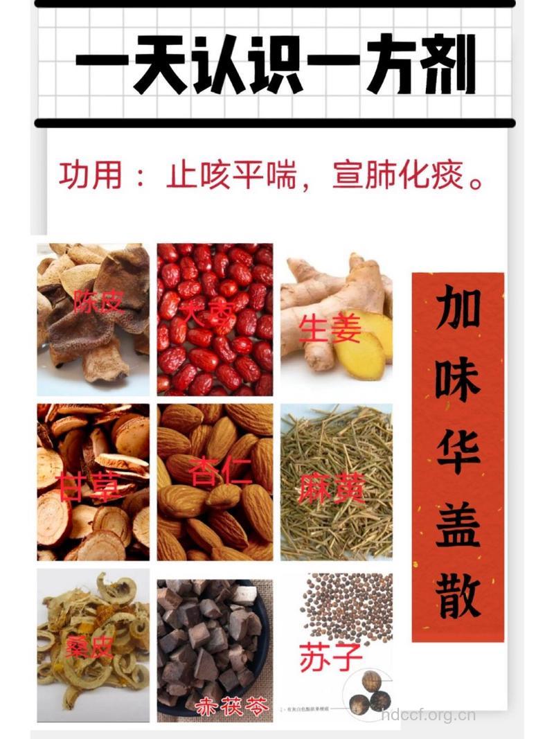 华盖散的组成及作用